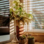 Tips for Creating a Cozy and Functional Home Office Space
