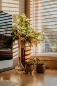resized_460494